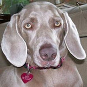 Martha Shull's photo