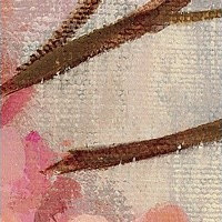 "Cherry Blossom I" Canvas Art, 16"x16"x1.25"