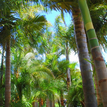 Residental Gardens