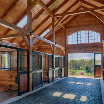 Assorted Equine Facilities