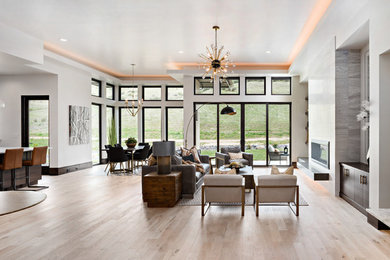 Example of a living room design in Boise