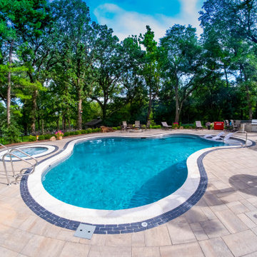 Oswego, IL Freeform Pool and Hot Tub