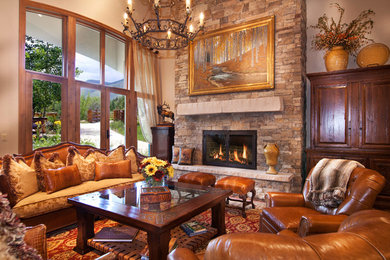 Living room - traditional living room idea in Denver with a wood stove and a stone fireplace