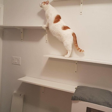 Getting some much needed exercise