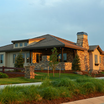 Avon Model