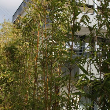 Maison Particulière