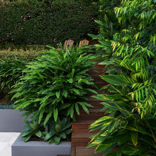 Garden / Yard