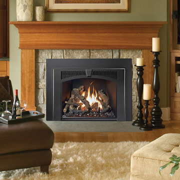616 Gas Fireplace Insert