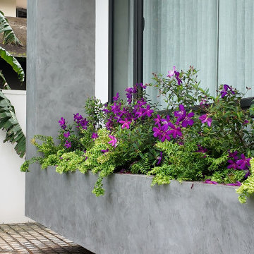 Landscaping Contracting Work in Kannur