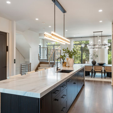 End Unit - Modern Luxury Rowhome | Heritage Place Naperville, IL