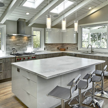 Los Altos Contemporary
