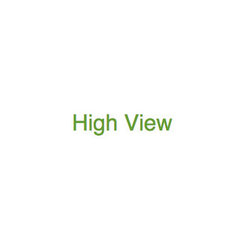 High View Inc