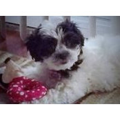 Lenore Cutmore's photo