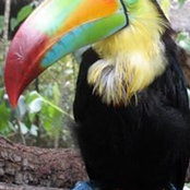 Polly Houck's photo