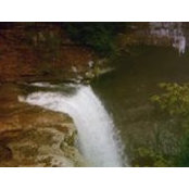 Beth Yeary's photo