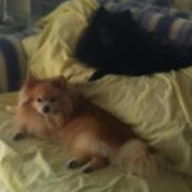 Pamela Gish's photo
