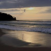 Leanne Joyce's photo