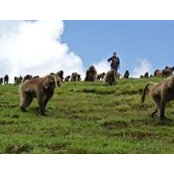 Elizabeth Johnson's photo