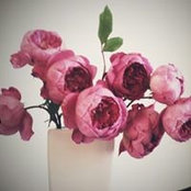 Alisha Johnson's photo