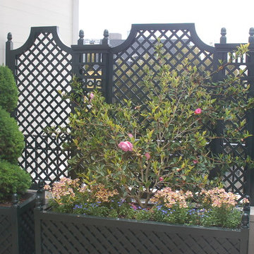 Balconies / terrace