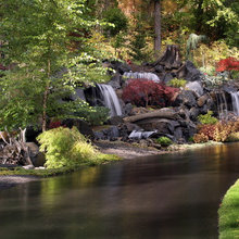 Pond ideas