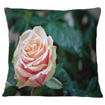 Red and Orange Rose Flower Close Up Floral Throw Pillow, 16"x16"