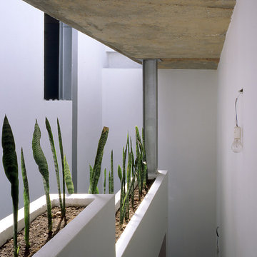 casa ruiz