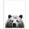 Black and White Large Bear Head Animal Design, 10"x15"