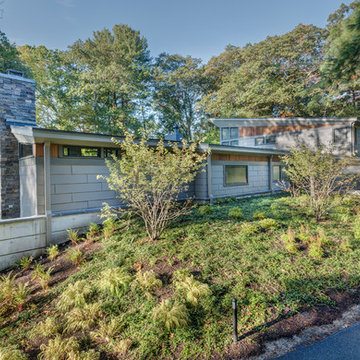 Woodland Retreat