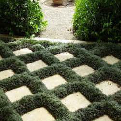Patio Ideas Using Grass - Plants