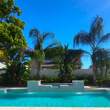 College Park, Orlando Transitional Classic Pool