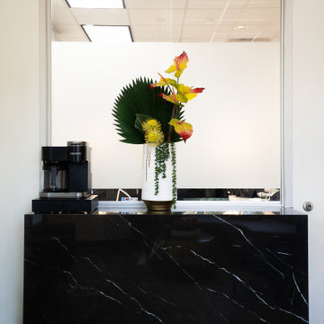 Plastic Surgeon Office