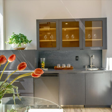 CONTEMPORARY KITCHEN and BAR- ECLIPSE CABINETRY