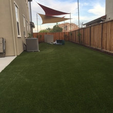 Landscape Ideas