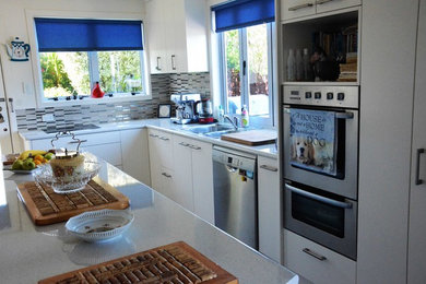 This is an example of a contemporary kitchen in Wellington.