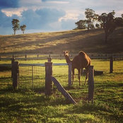 Amanda Scanlan's photo