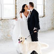 Carlyn Bradarich's photo
