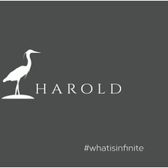 Infinite Harold