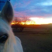 Annette Hill's photo