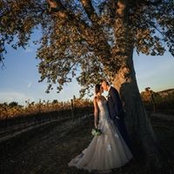 Foto de Katie Amick