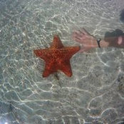 Sharon Lord's photo