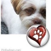 Billie Boggs's photo