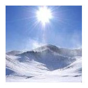 Danielle Verdiere's photo