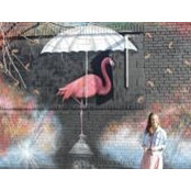 Lucy Schwartz's photo