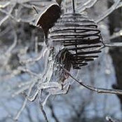 Kate Stephenson-Lee's photo