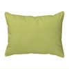 Robin Large Indoor/Outdoor Pillow 16x20