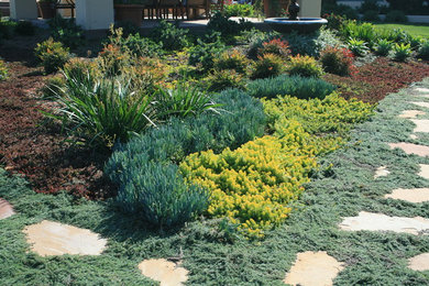 This is an example of a mediterranean landscaping in Los Angeles.