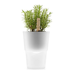 Eva Solo Selfwatering Herb Pot - Frosted Glass - Large - Indoor Pots & Planters