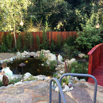 Pond and Bridge