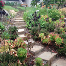 12861 Front yard